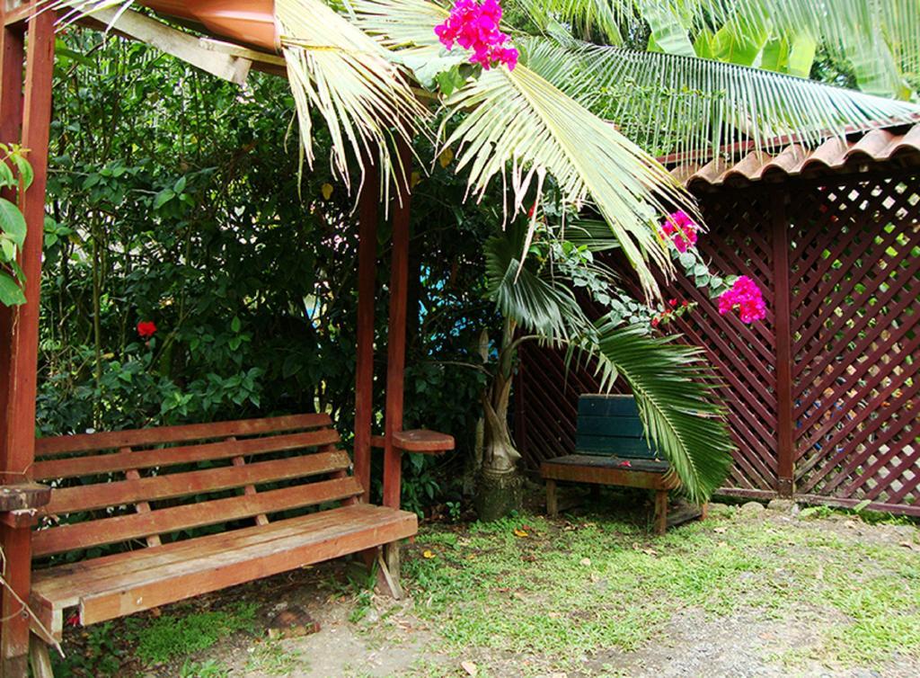Las Casitas De Playa Negra Pansiyon Puerto Viejo de Talamanca Dış mekan fotoğraf